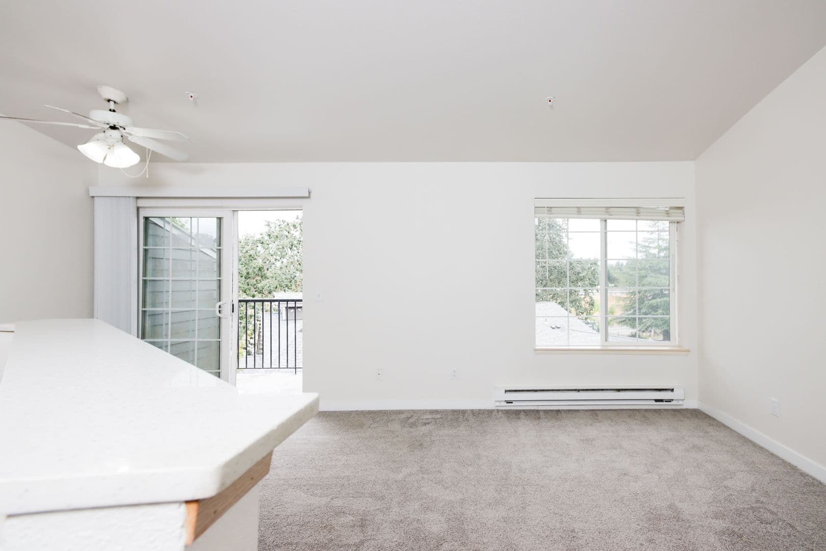 Tacoma Apartment: 10925 Park Ave S