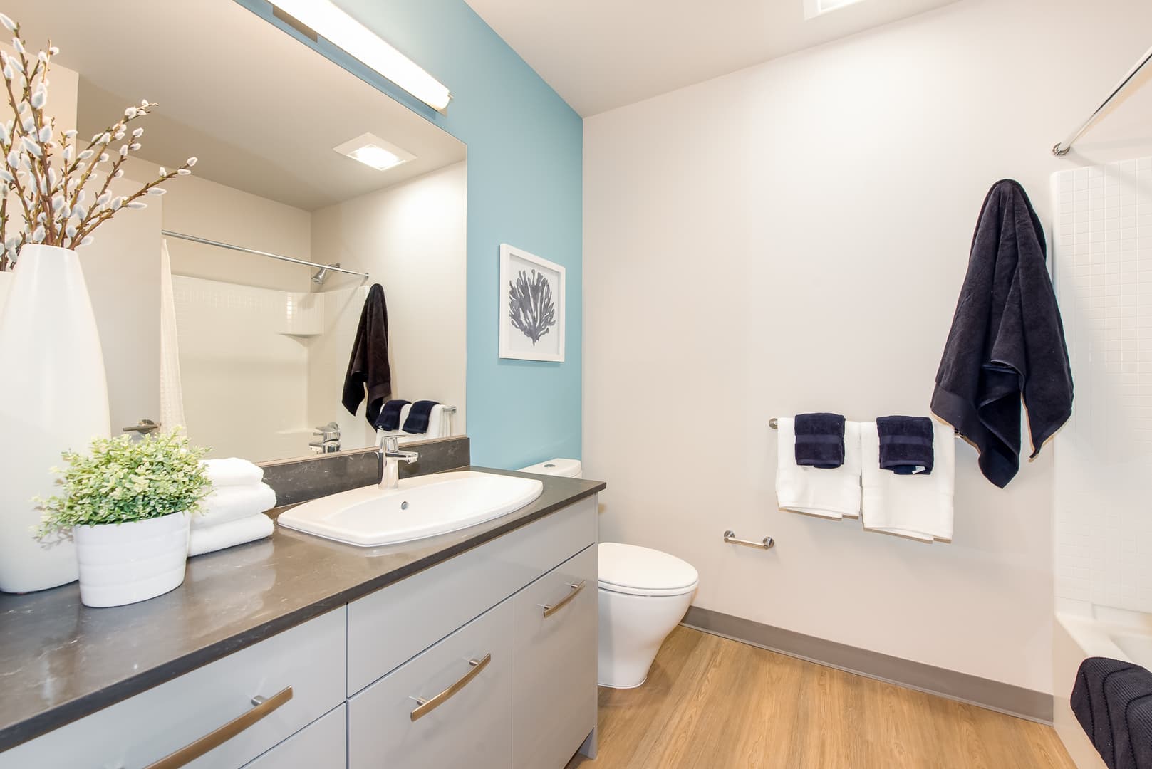 Seattle Apartment: 200 Belmont Ave E
