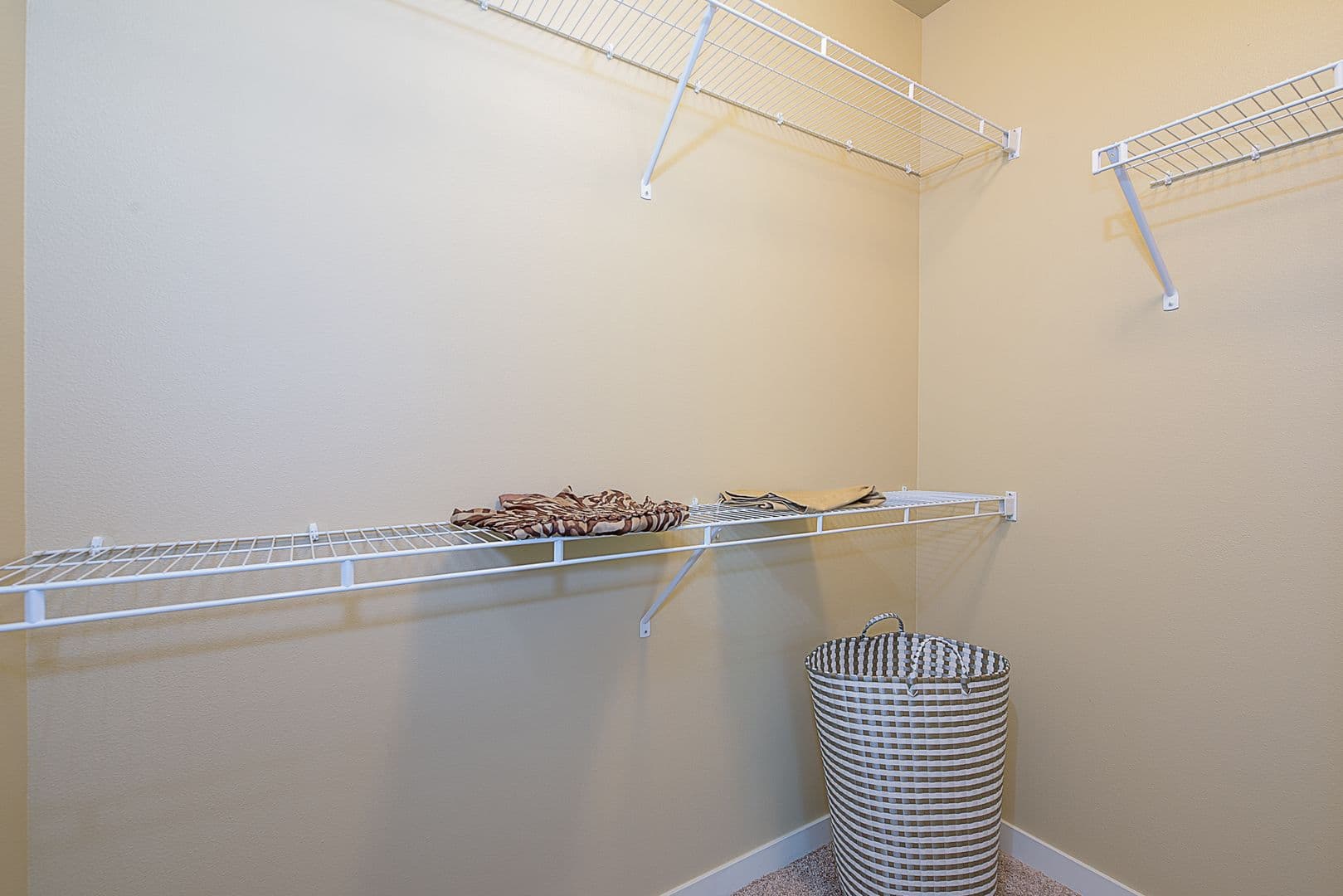 Seattle Apartment: 1615 Belmont Ave