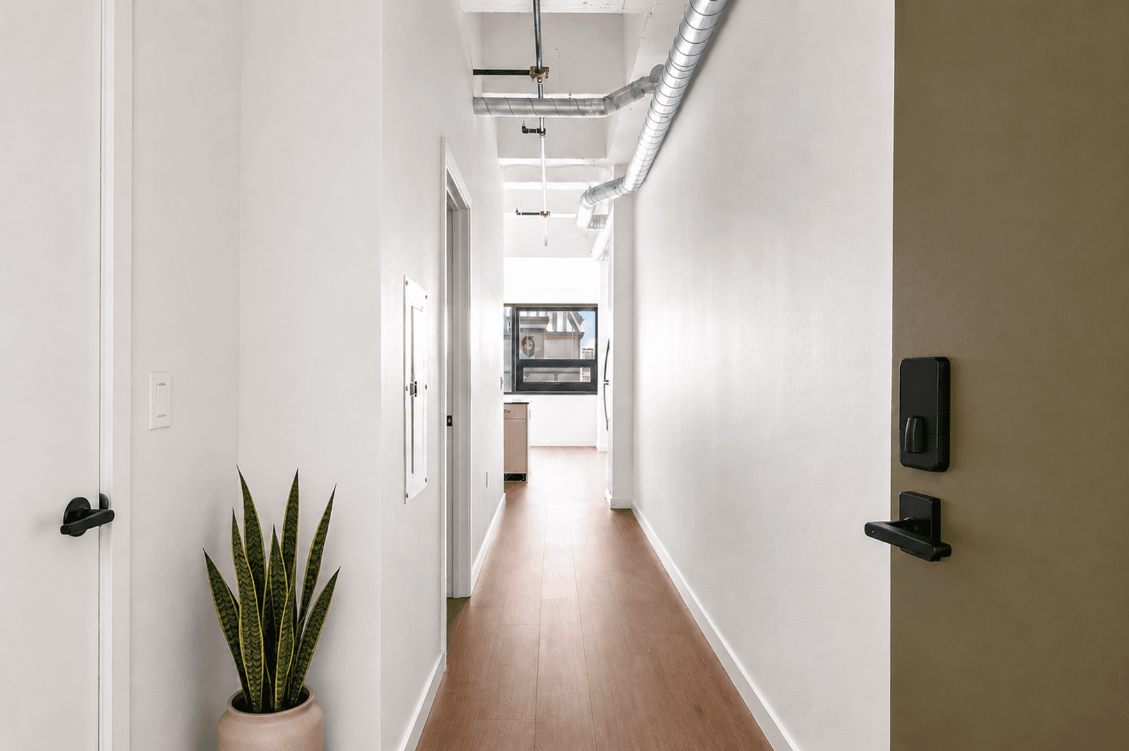 Seattle Apartment: 201 Queen Anne Ave N
