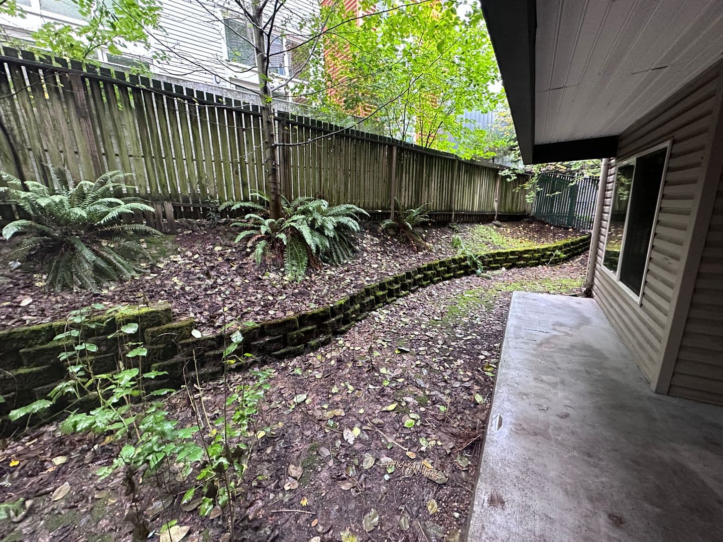 Seattle Apartment: 3233 SW Avalon Way