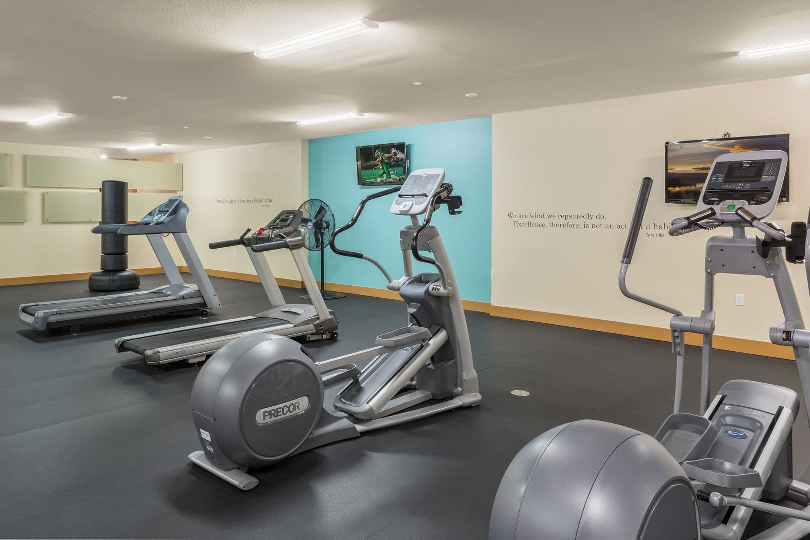 Issaquah Apartment: 2700 NW Pinecone Dr