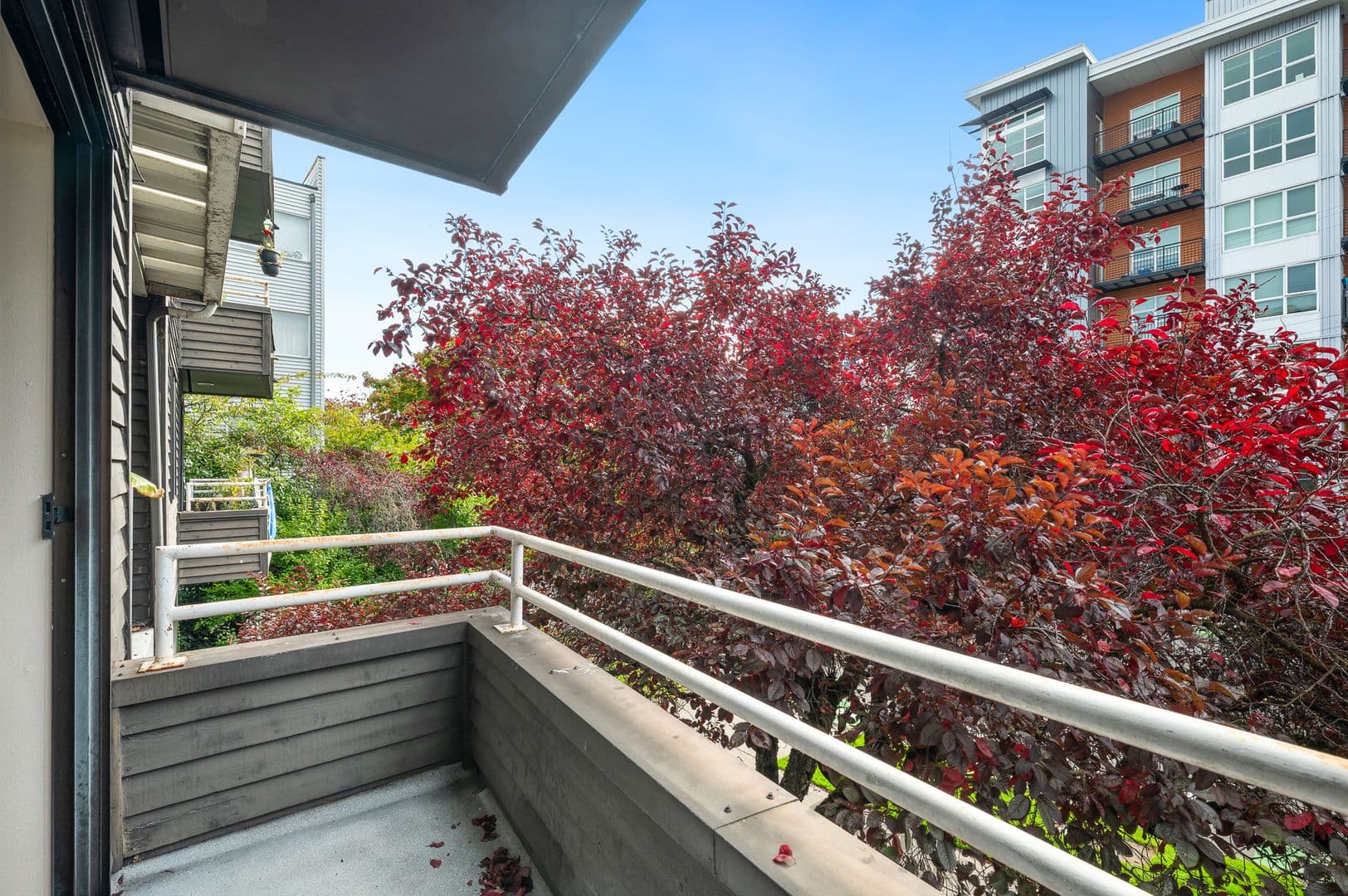 Seattle Apartment: 3236 SW Avalon Way