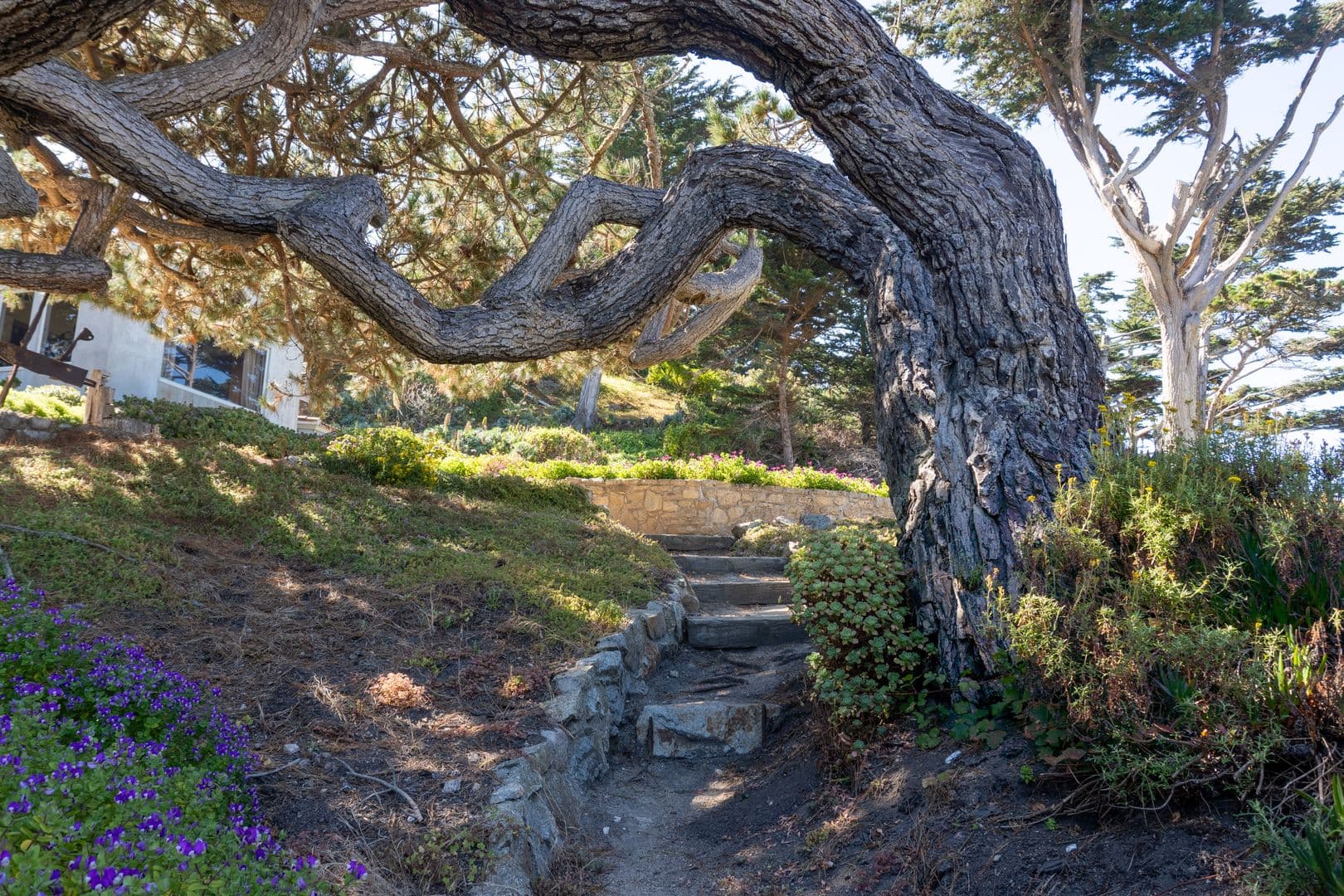Carmel House: 100 Highway 1