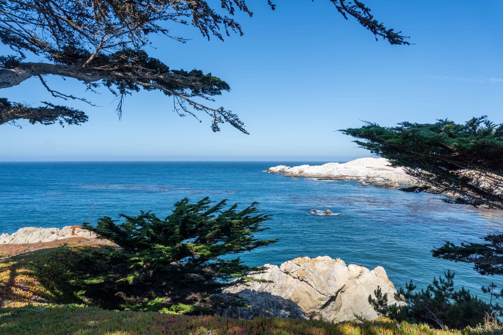 Carmel House: 100 Highway 1