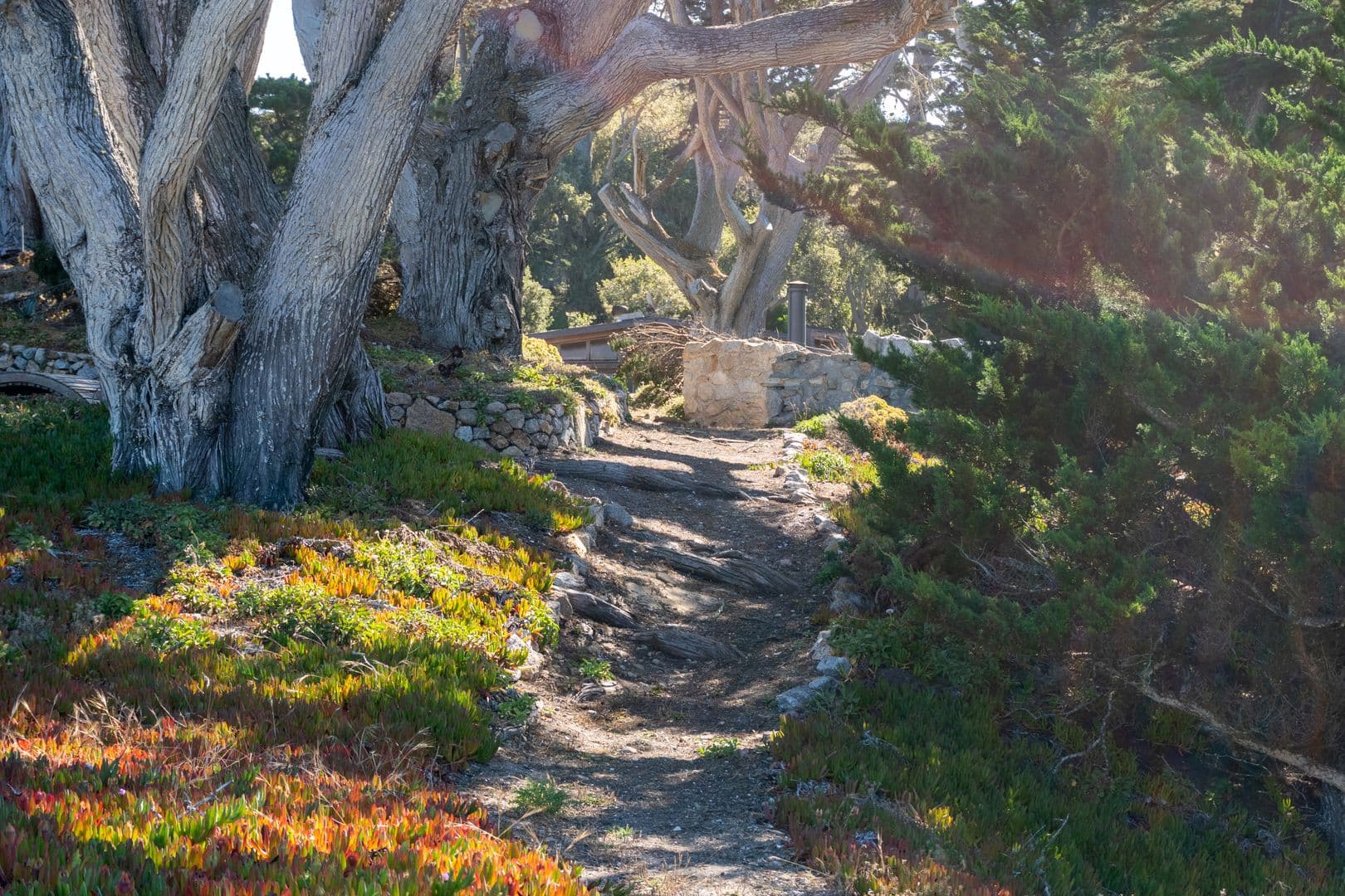 Carmel House: 100 Highway 1