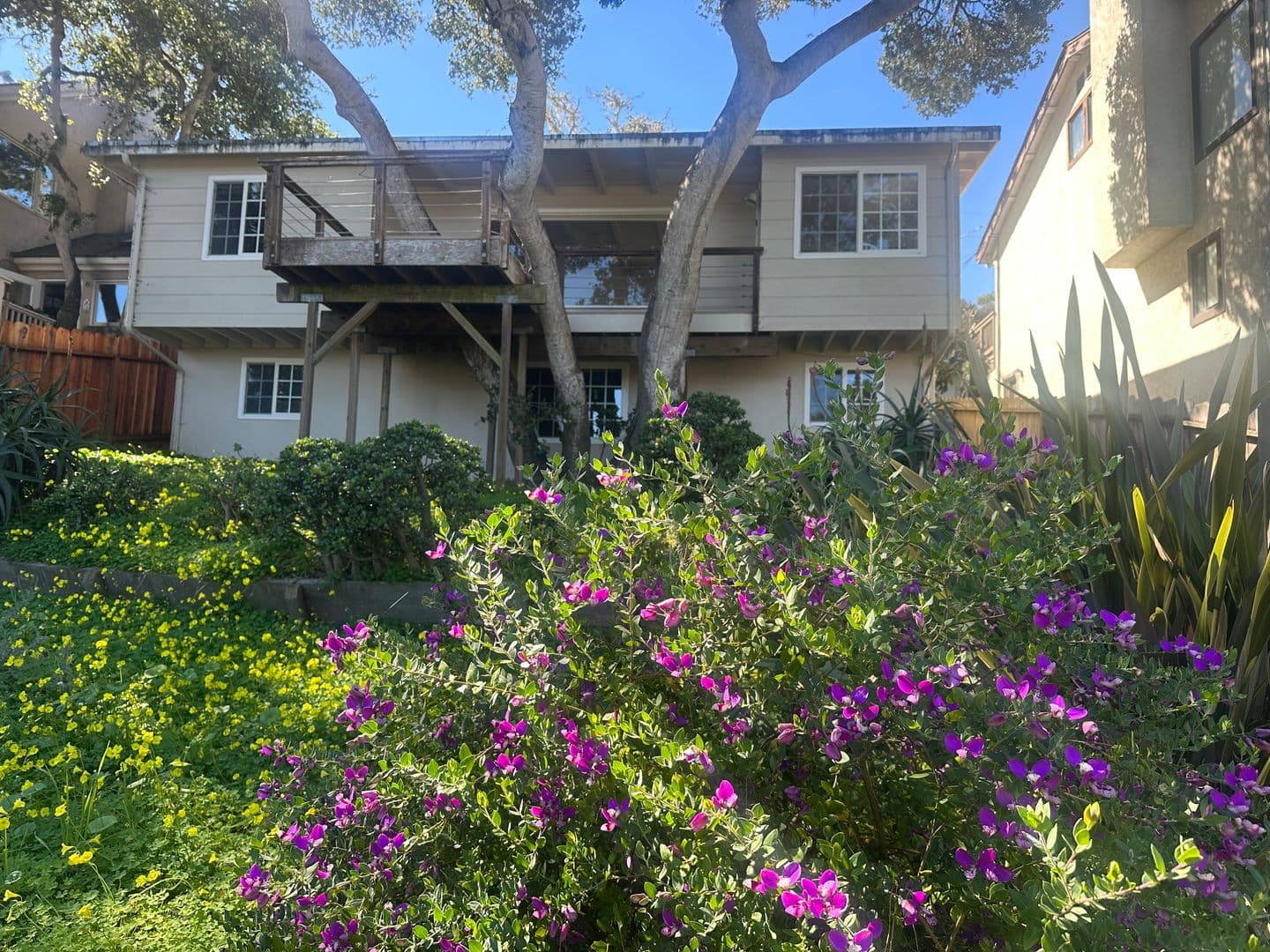 Monterey House: 650 Grace St
