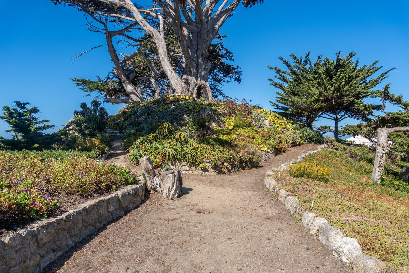 Carmel House: 100 Highway 1