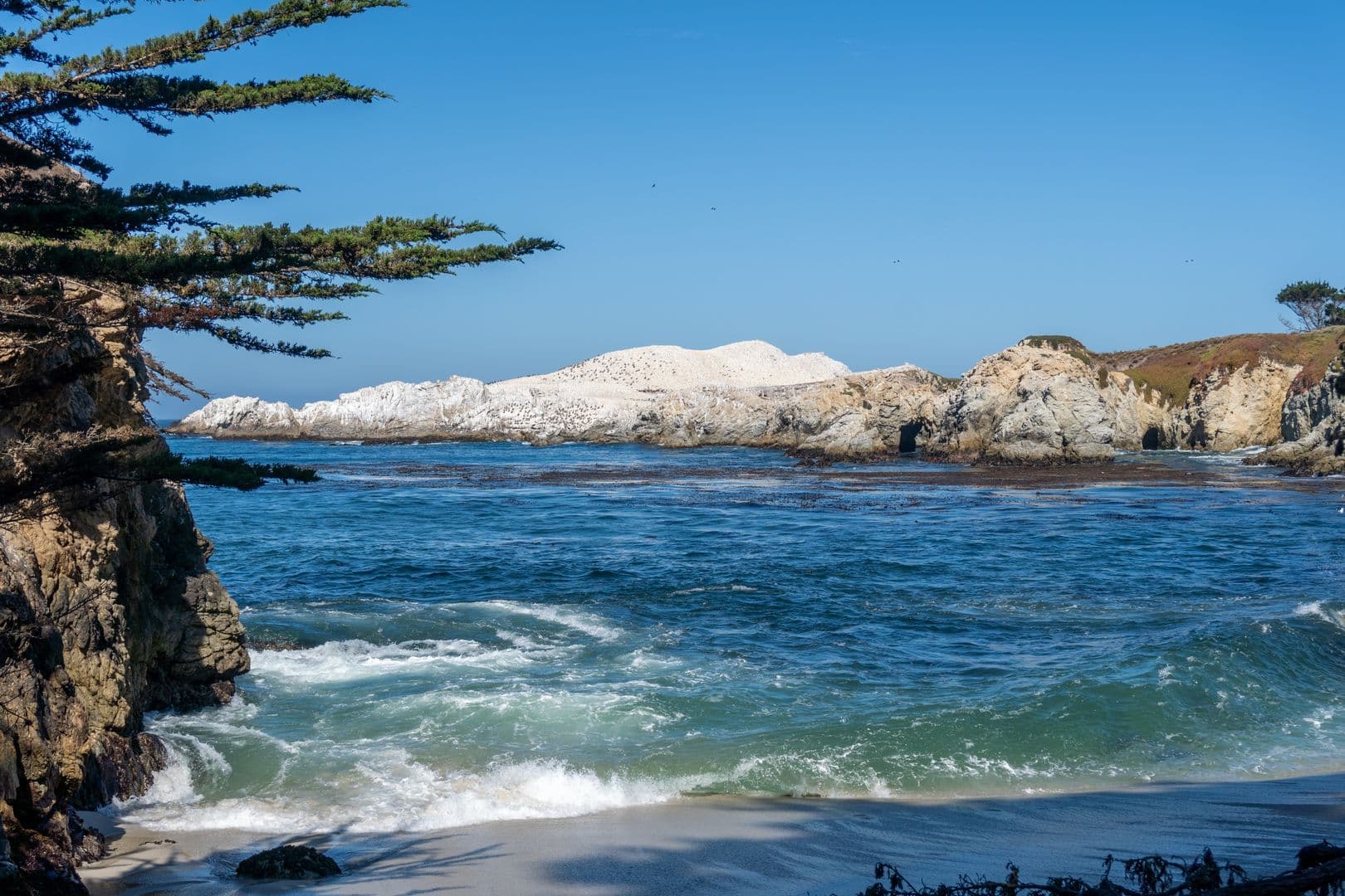 Carmel House: 100 Highway 1