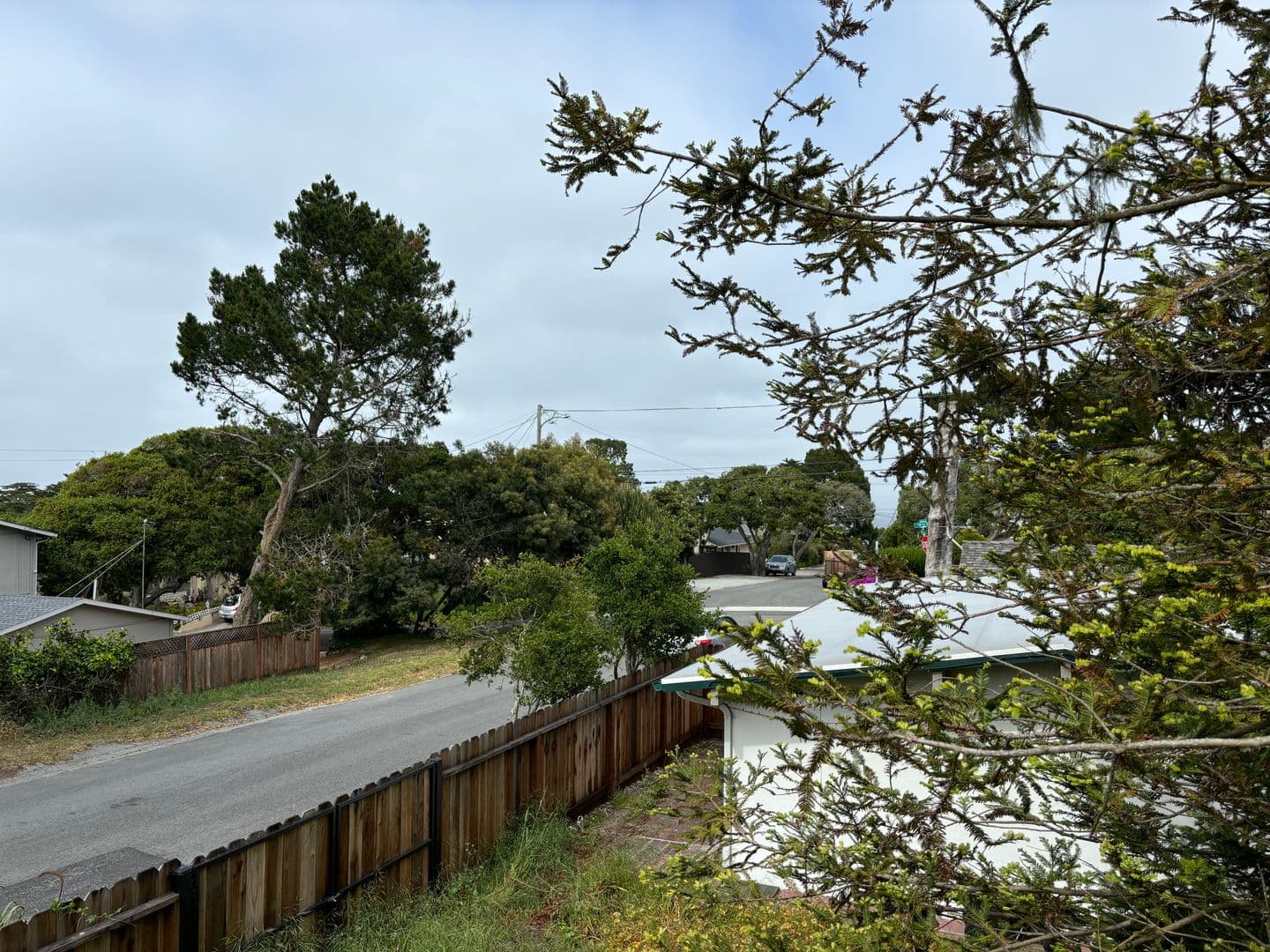 Monterey Apartment: 1693/5/7/9 Withers Avenue