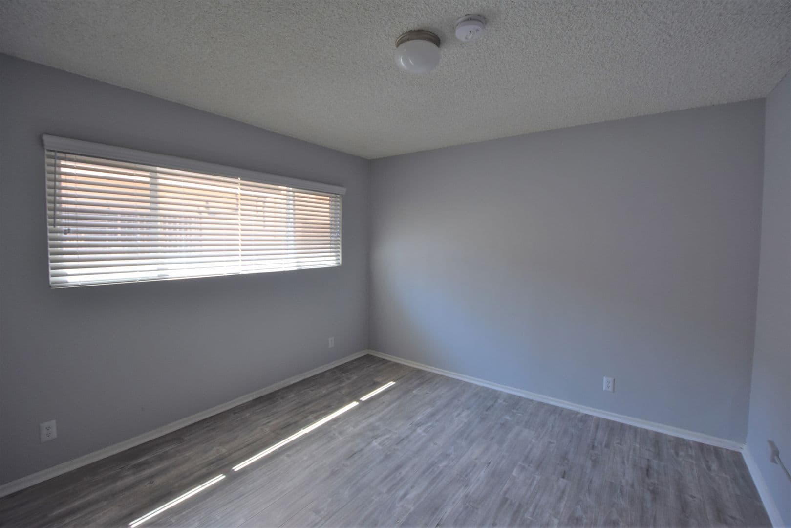 North Hollywood Apartment: 6665 Rhodes Avenue