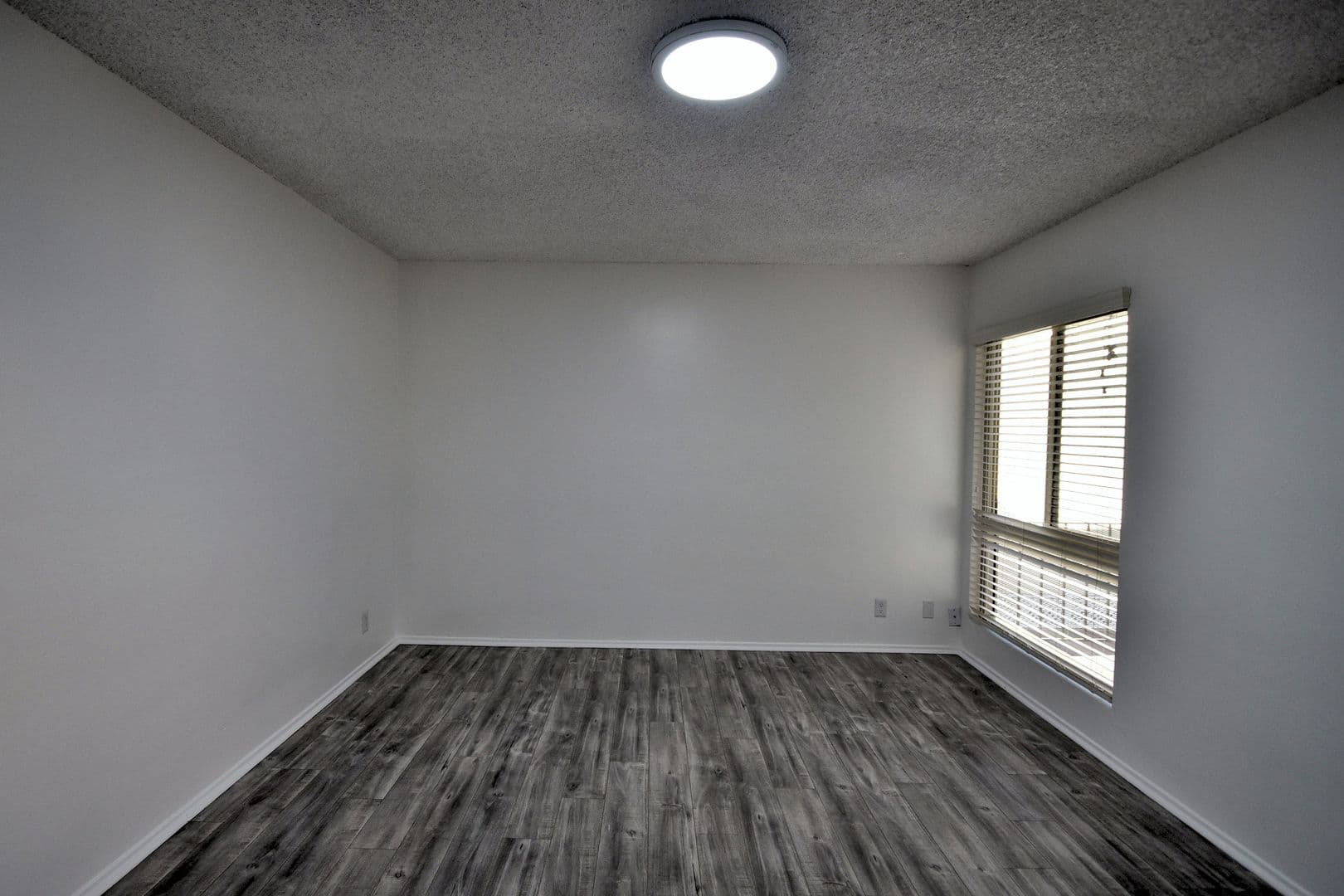 North Hollywood Apartment: 11310 Camarillo Street