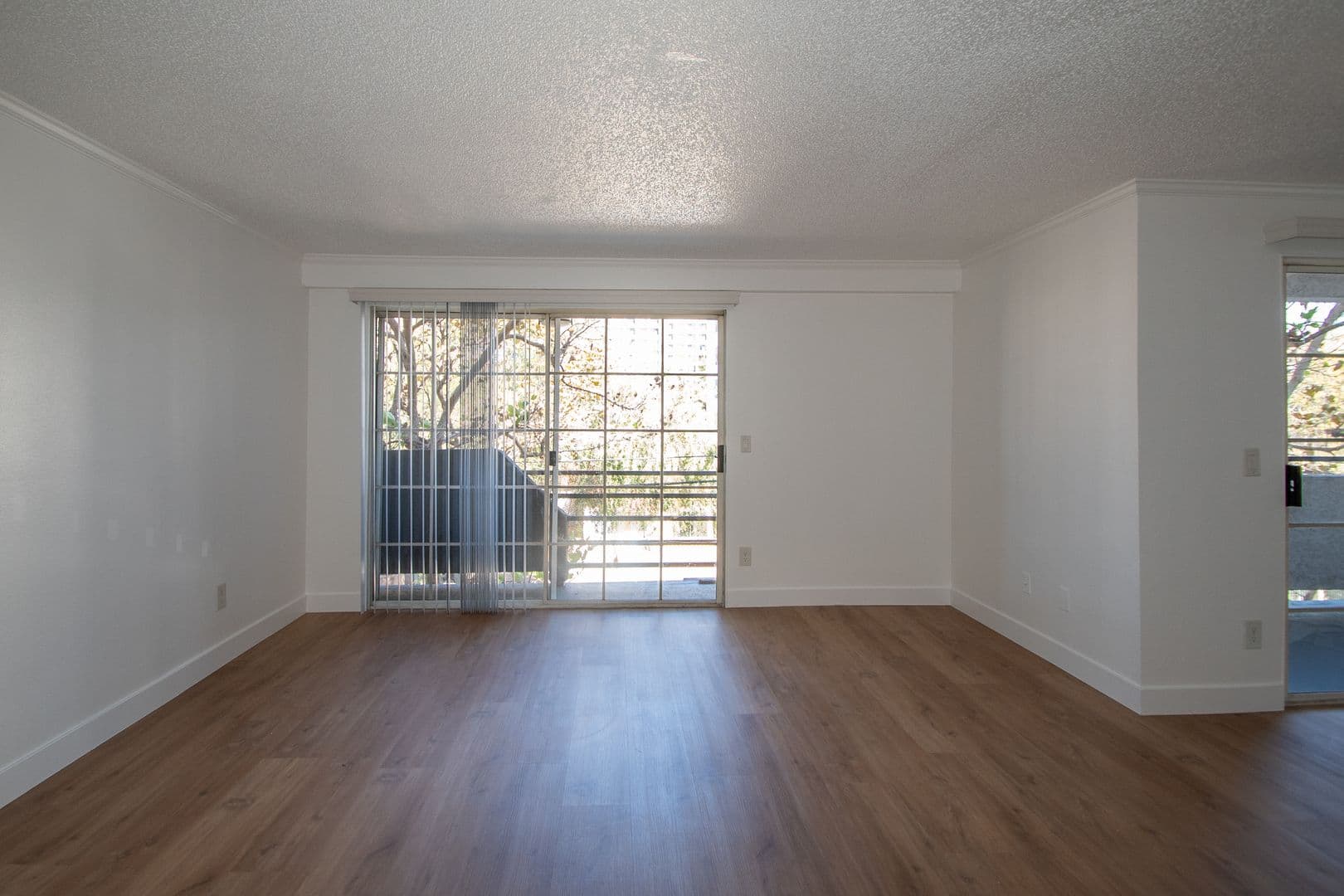 North Hollywood Apartment: 11030 Hartsook Street