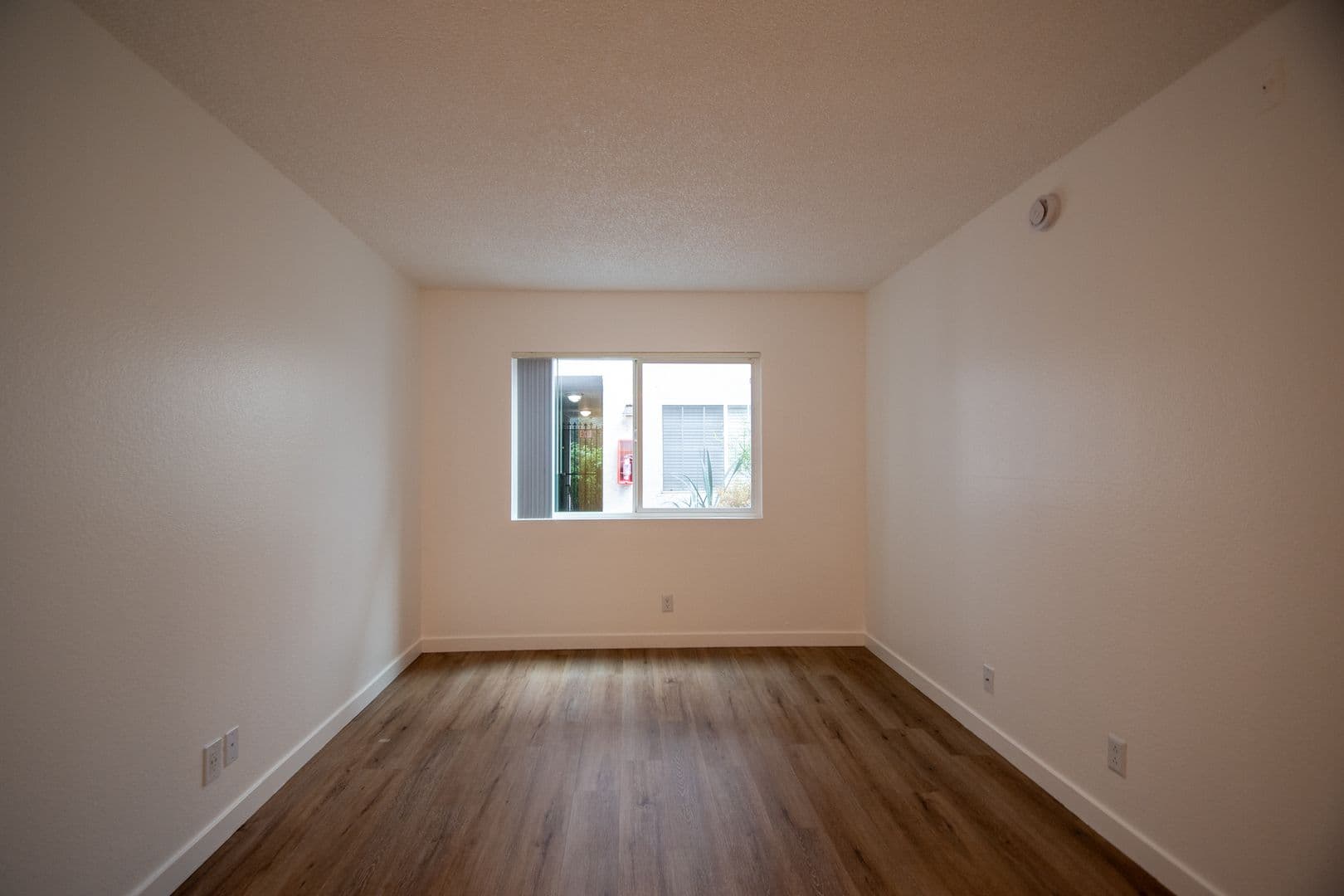 North Hollywood Apartment: 11416 Albers Street
