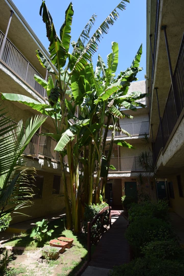 Canoga Park Apartment: 21018 Gresham Street