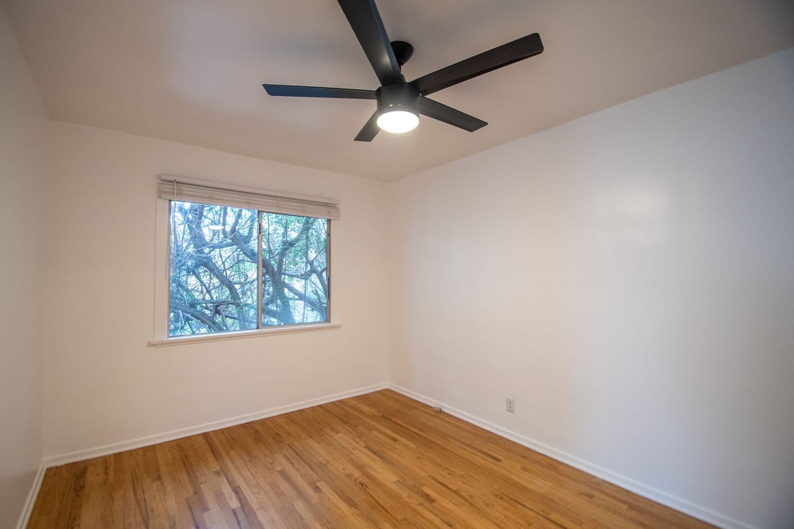 Studio City Apartment: 4413 Tujunga Avenue