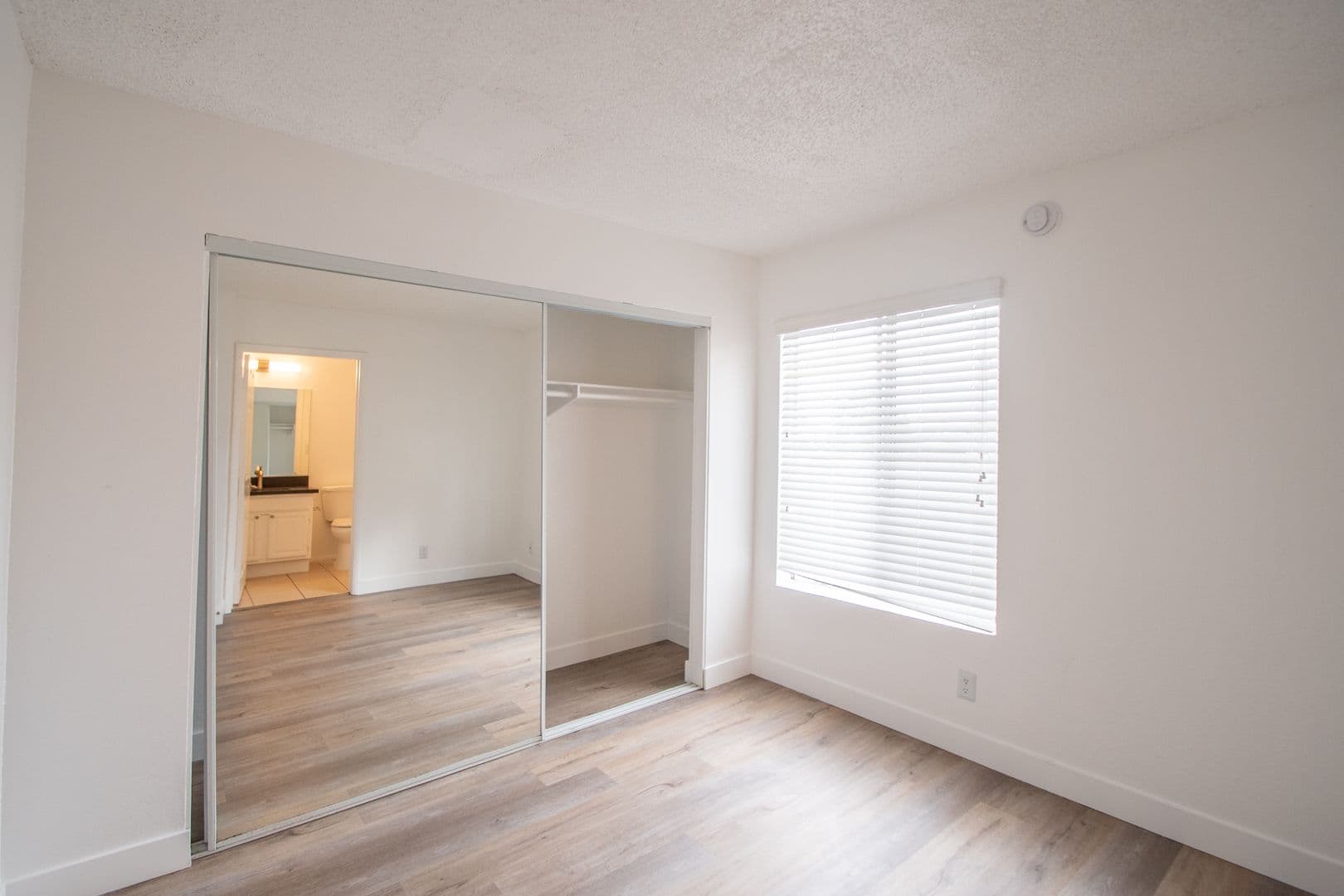 North Hollywood Apartment: 11416 Albers Street