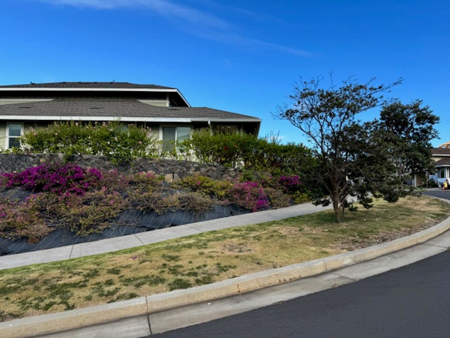 Wailuku House: 213 Kilioopu Street