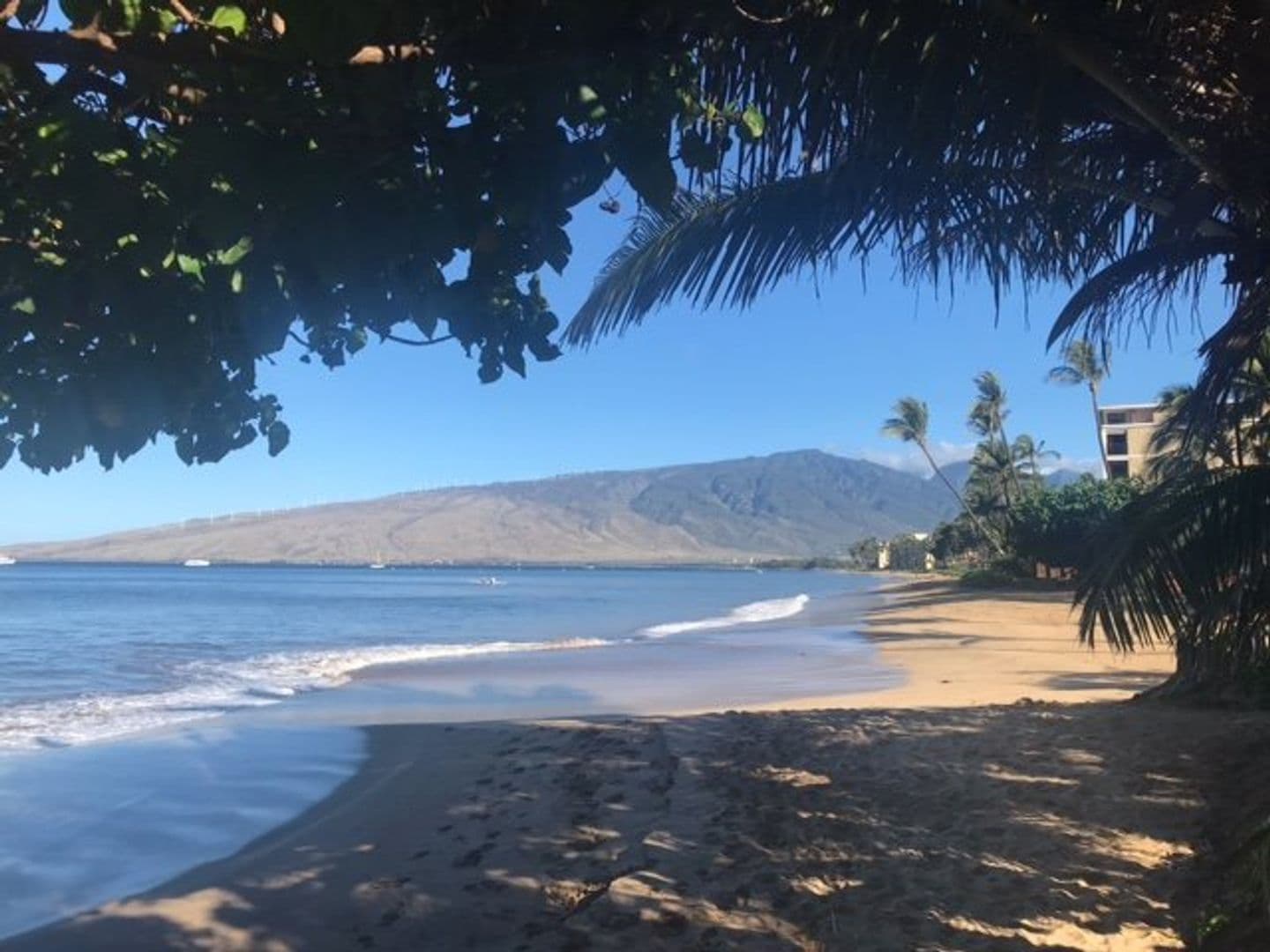 Kihei Condo: 13 Halili Lane Unit 13 D Villas @ Kenolio