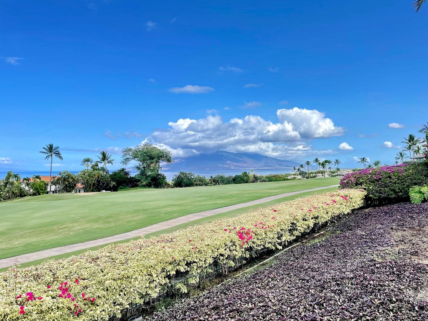 Kihei Condo: 3950 Kalai Waa St. Unit N-101