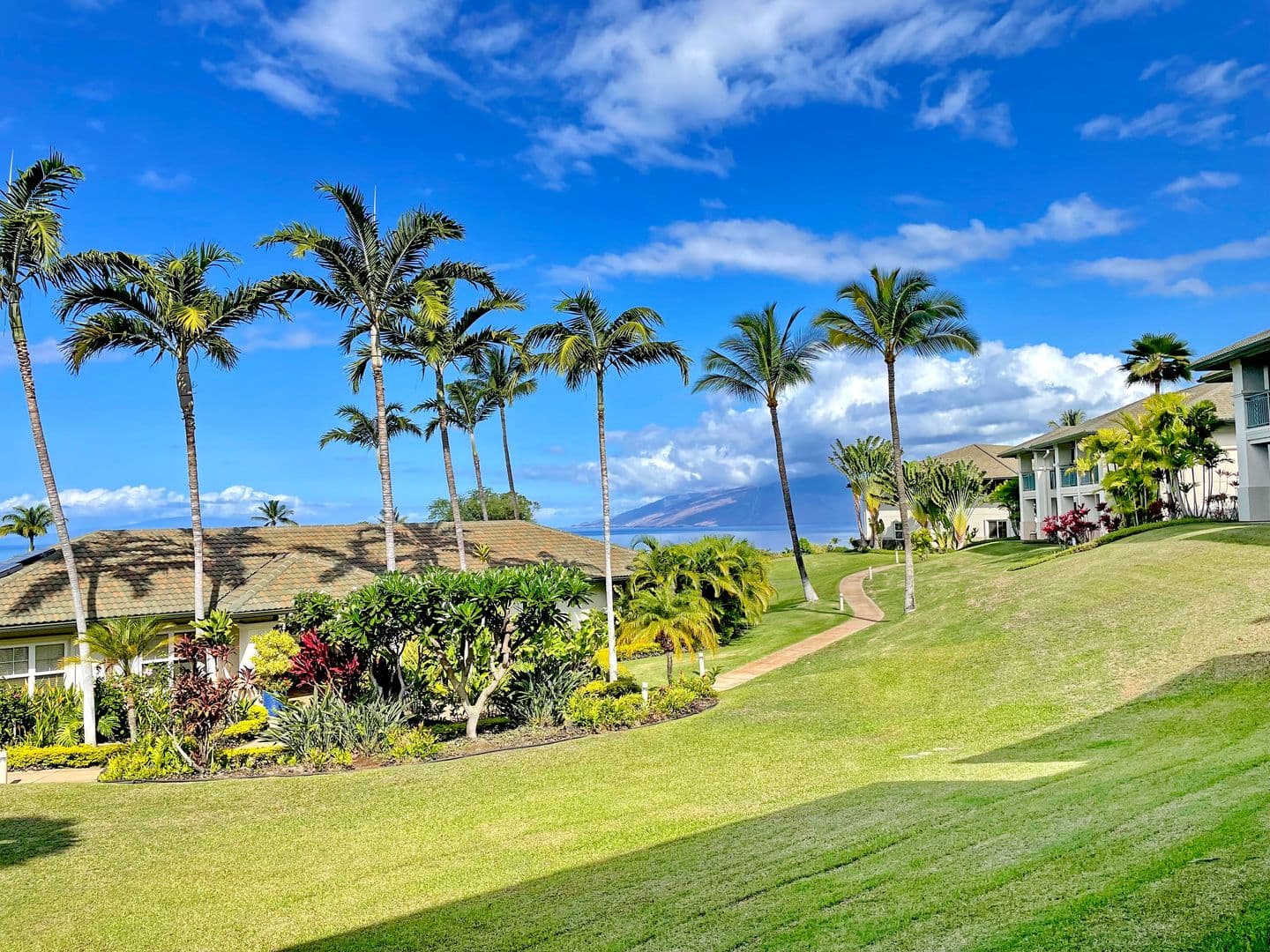 Kihei Condo: 3950 Kalai Waa St. Unit N-101