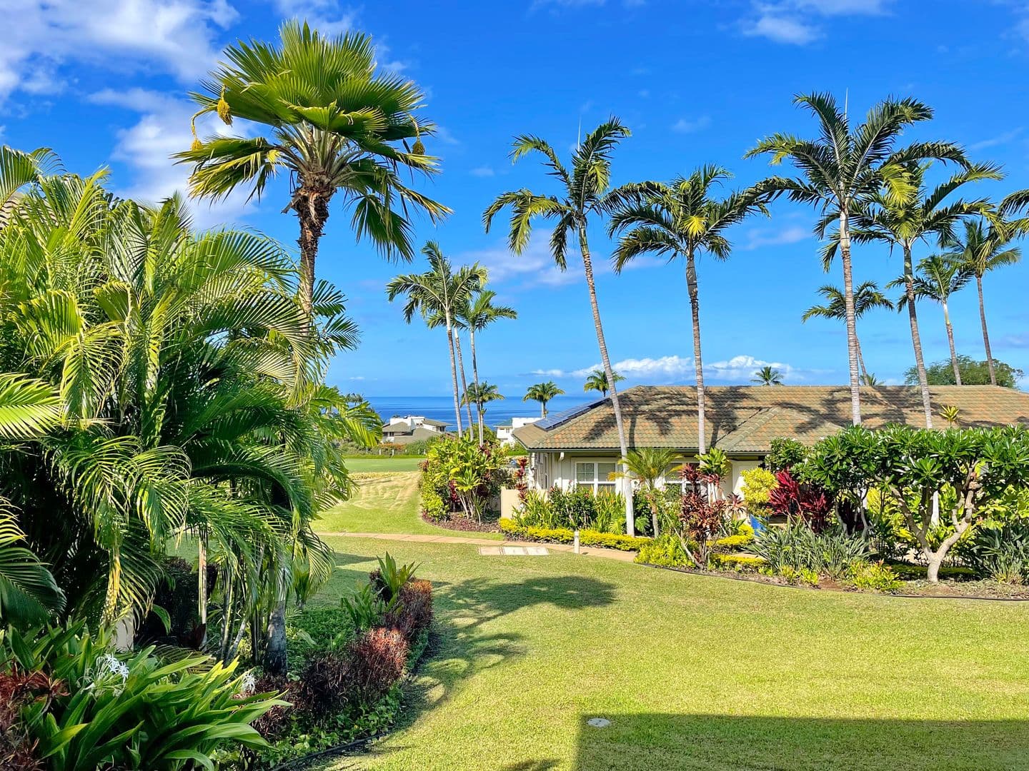 Kihei Condo: 3950 Kalai Waa St. Unit N-101