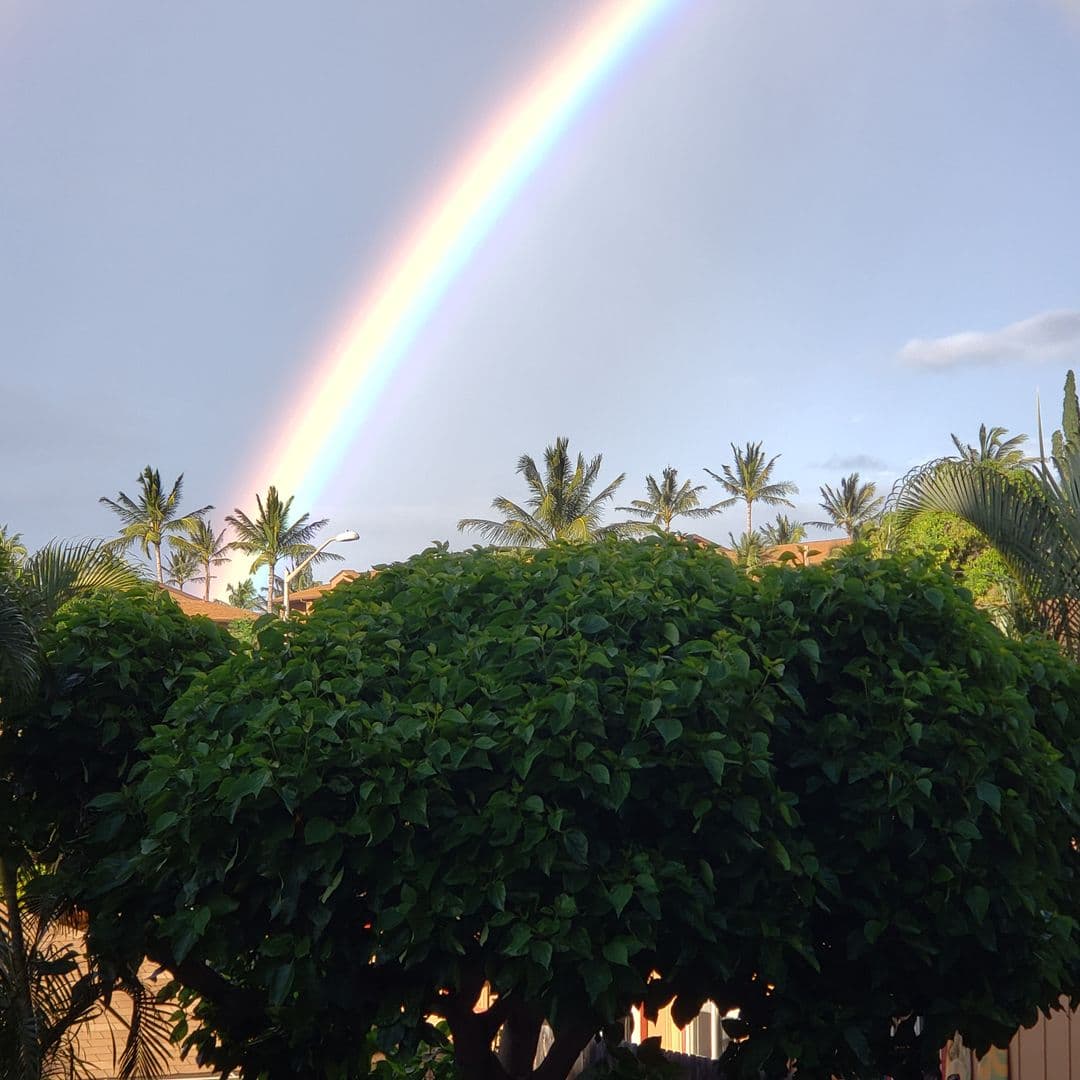 Lahaina Condo: 3706 Lower Honoapiilani Rd. D-25