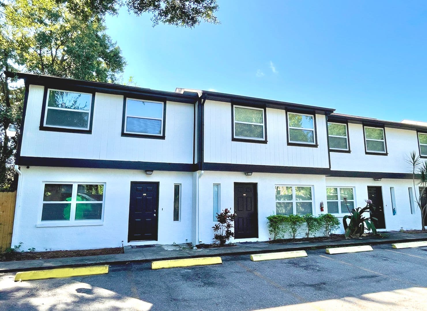 Tampa Apartment: 6501 N Himes Ave