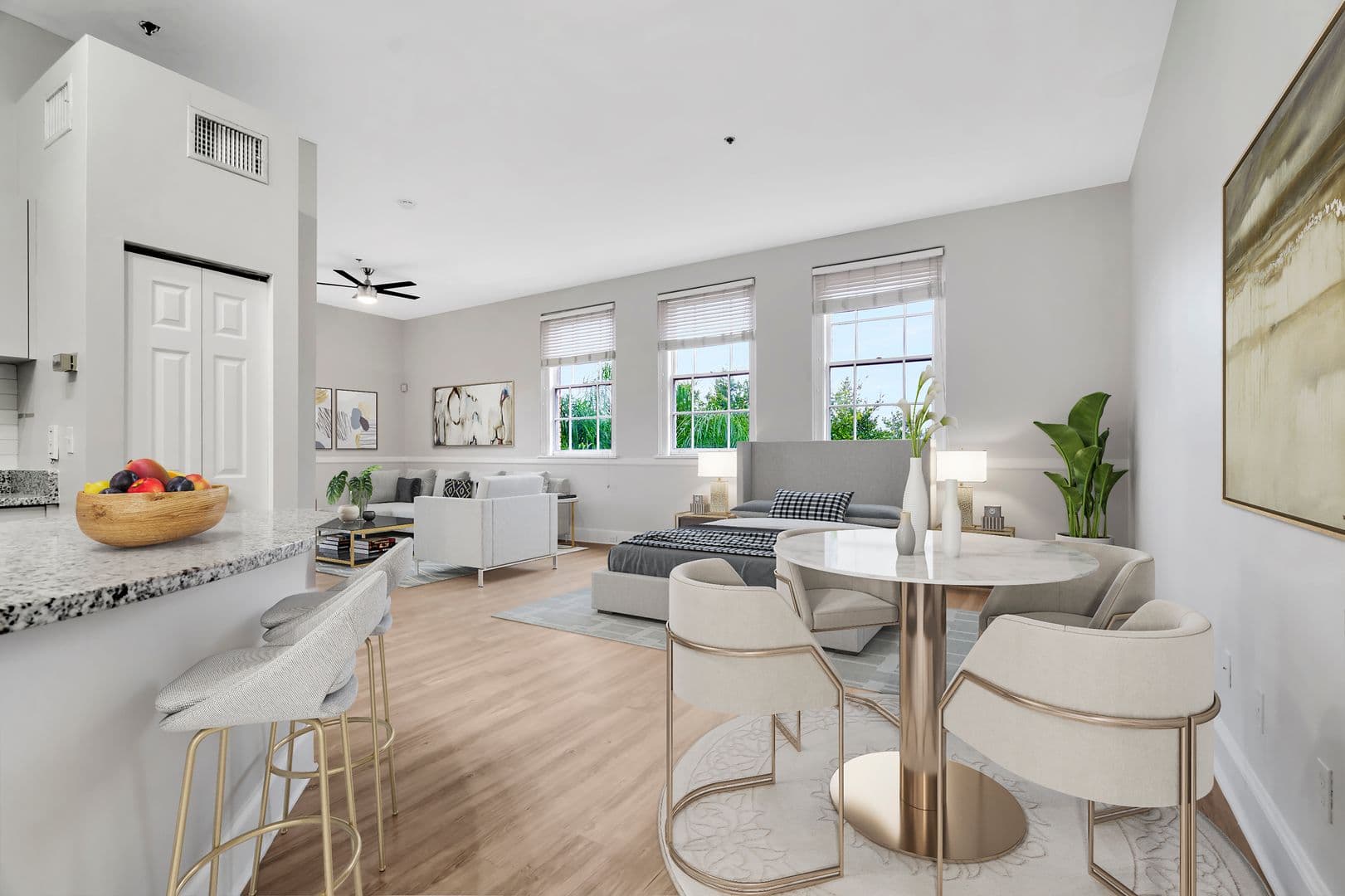 Tampa Apartment: 502 E Ross Ave