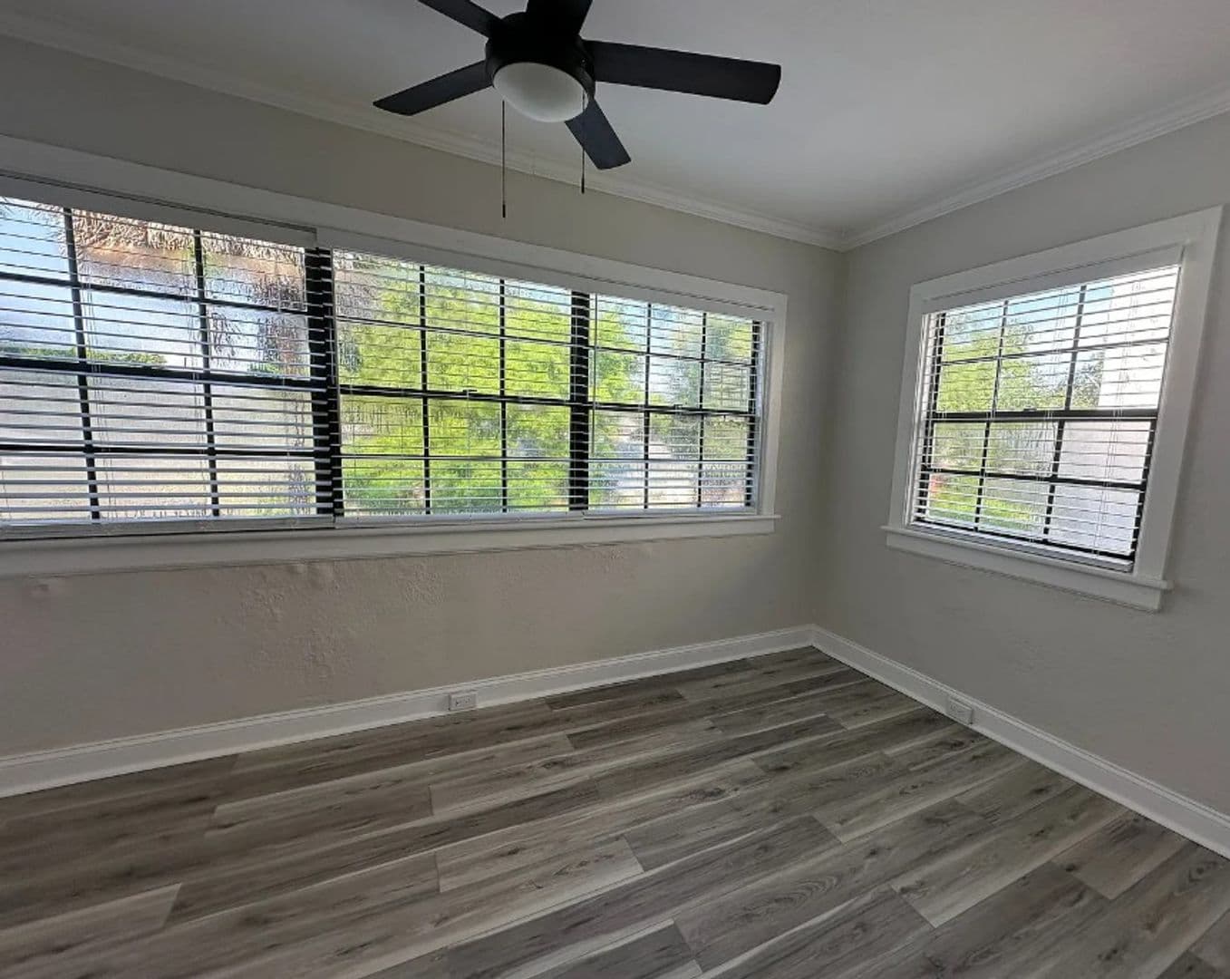 Tampa Apartment: 517 Columbia Dr.