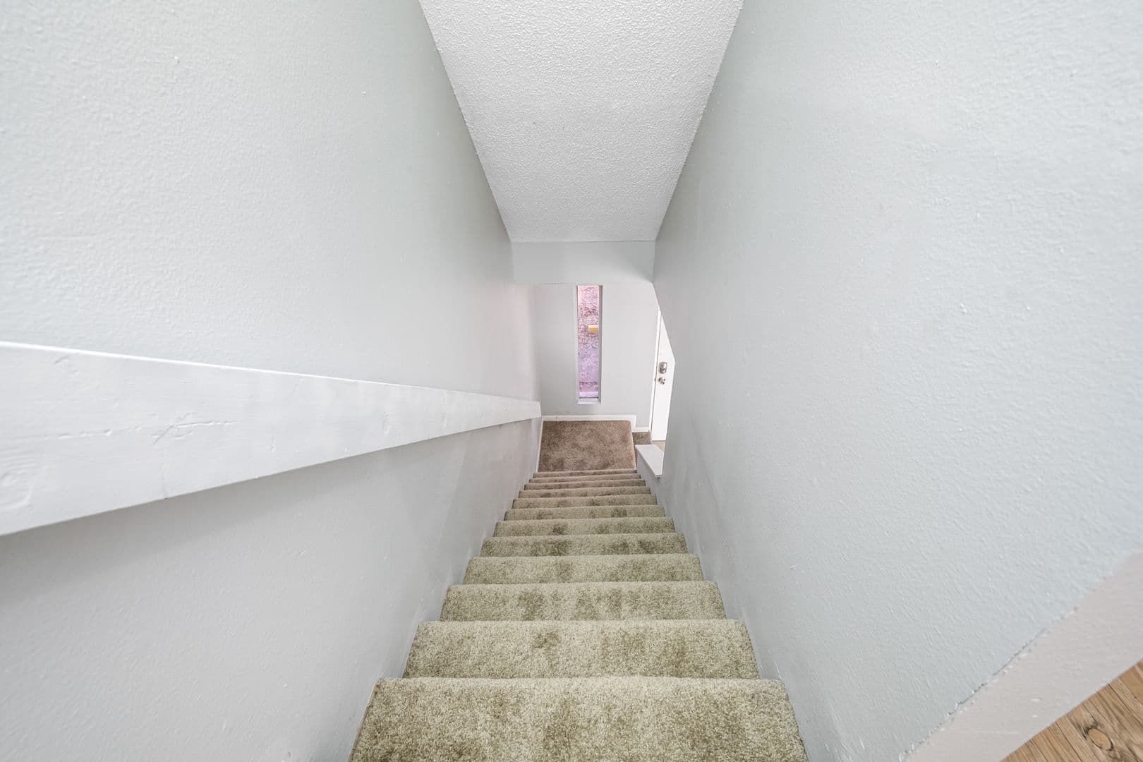 Tampa Apartment: 6501 N Himes Ave