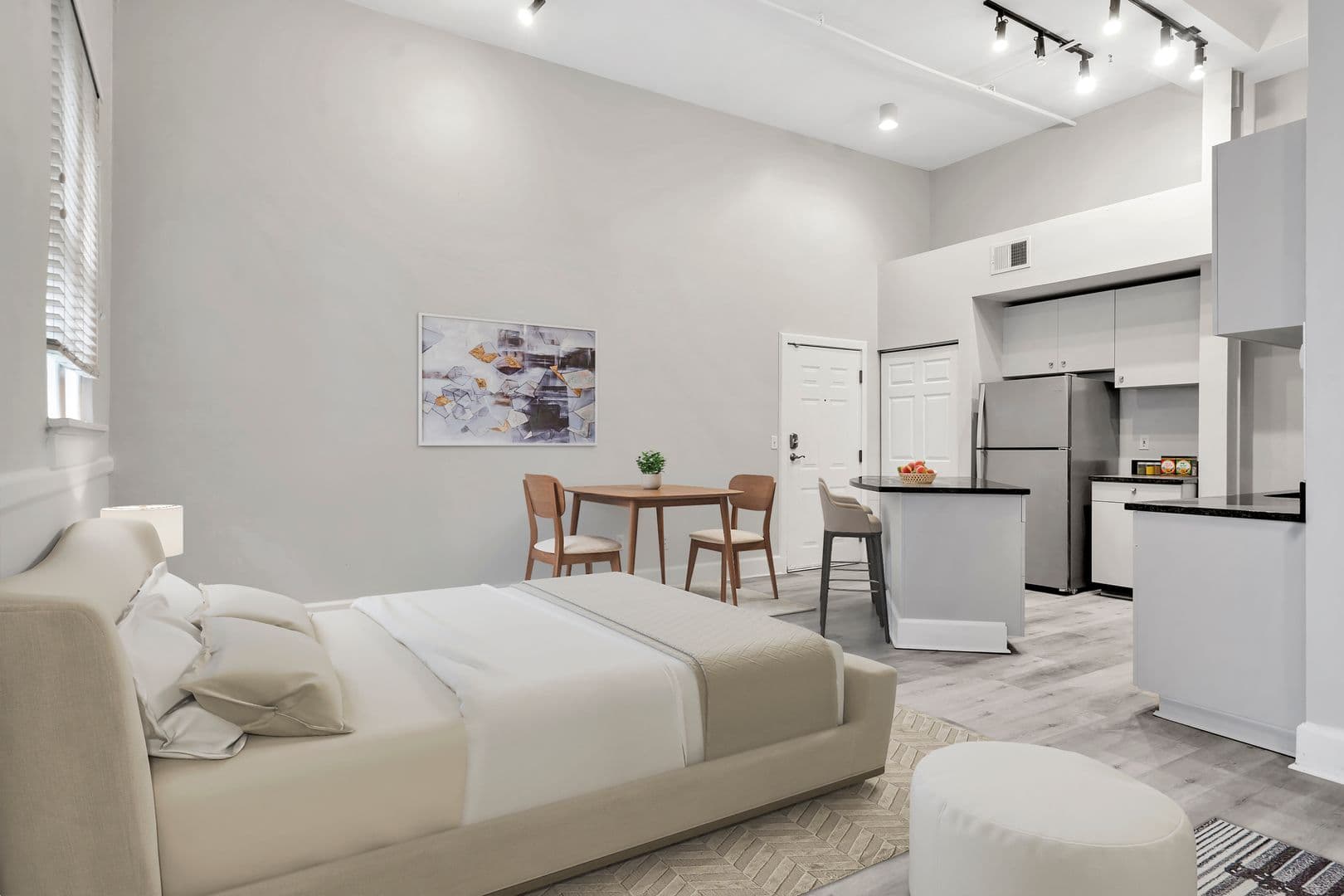 Tampa Apartment: 502 E Ross Ave