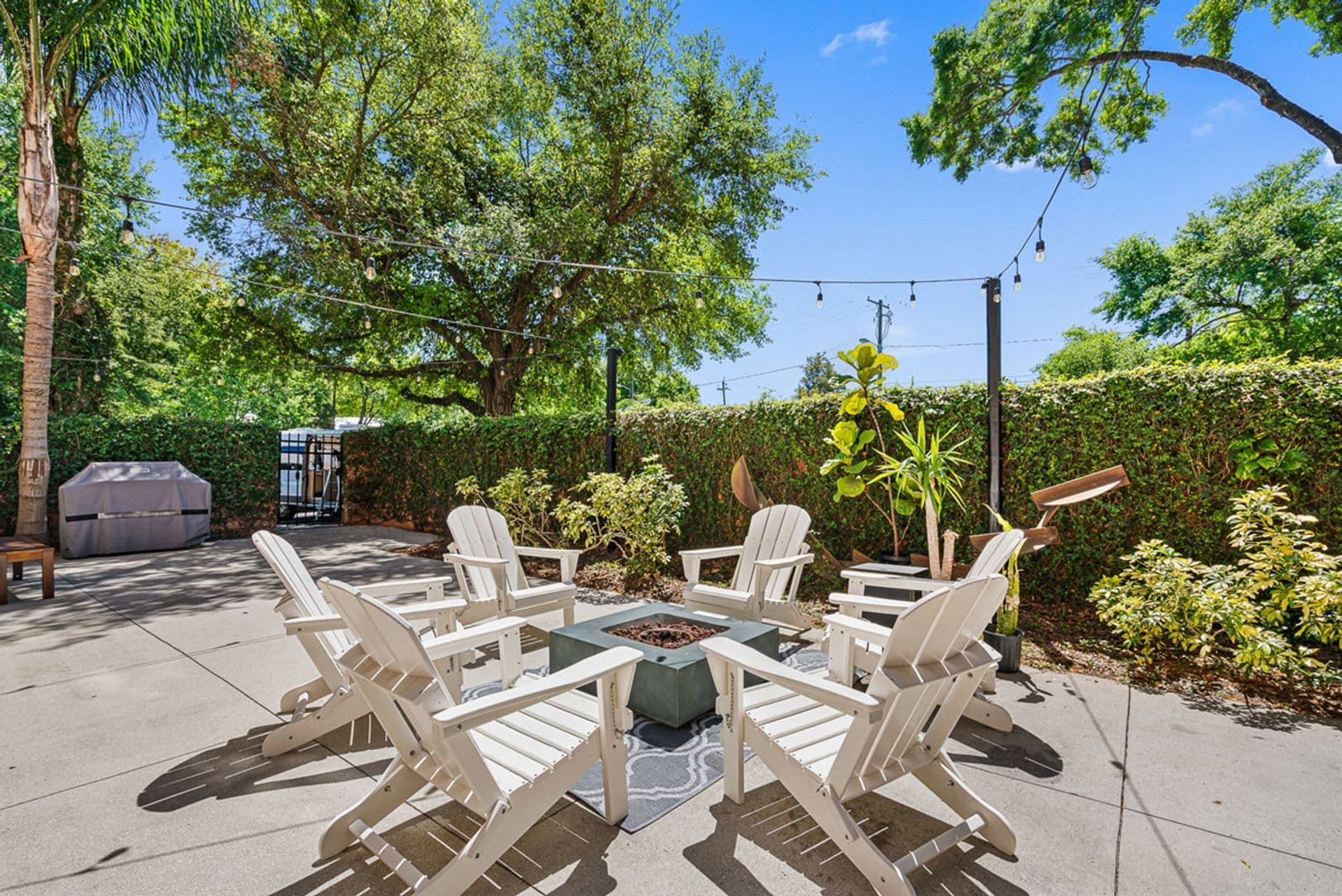 Tampa Apartment: 502 E Ross Ave