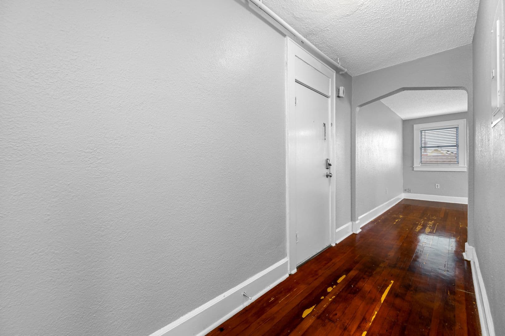 St Petersburg Apartment: 324 Grove Street North