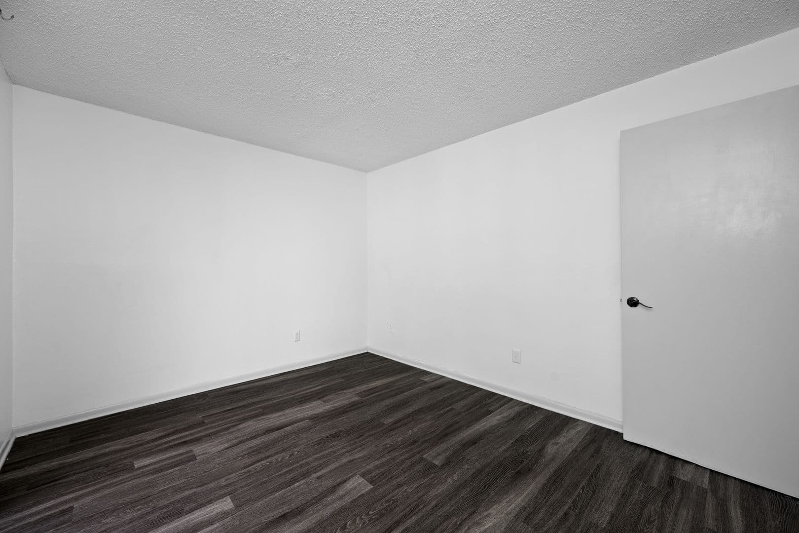 Tampa Apartment: 1405 S. Lorenzo Ave.
