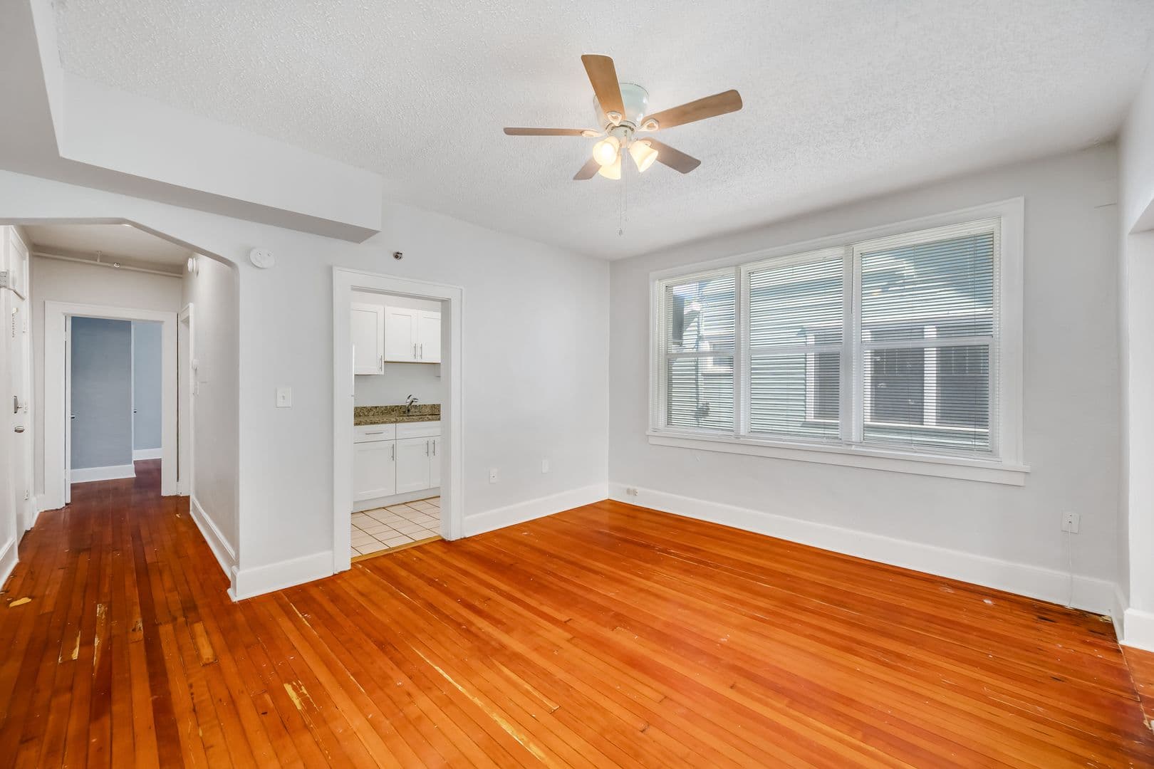 St Petersburg Apartment: 324 Grove Street North