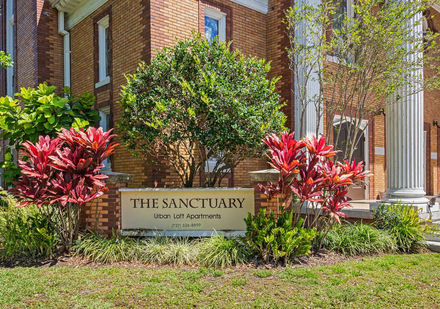 Tampa Apartment: 502 E Ross Ave