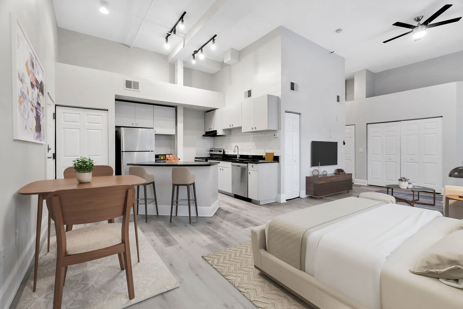 Tampa Apartment: 502 E Ross Ave