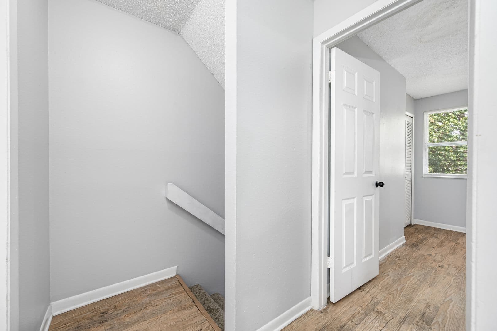 Tampa Apartment: 6501 N Himes Ave
