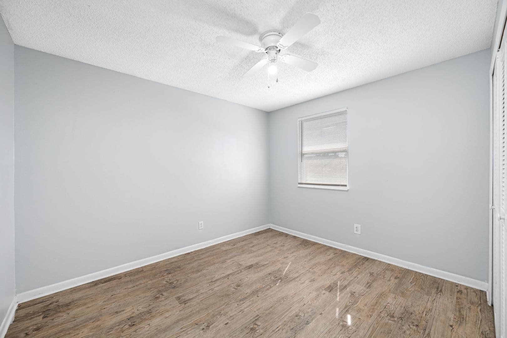 Tampa Apartment: 6501 N Himes Ave