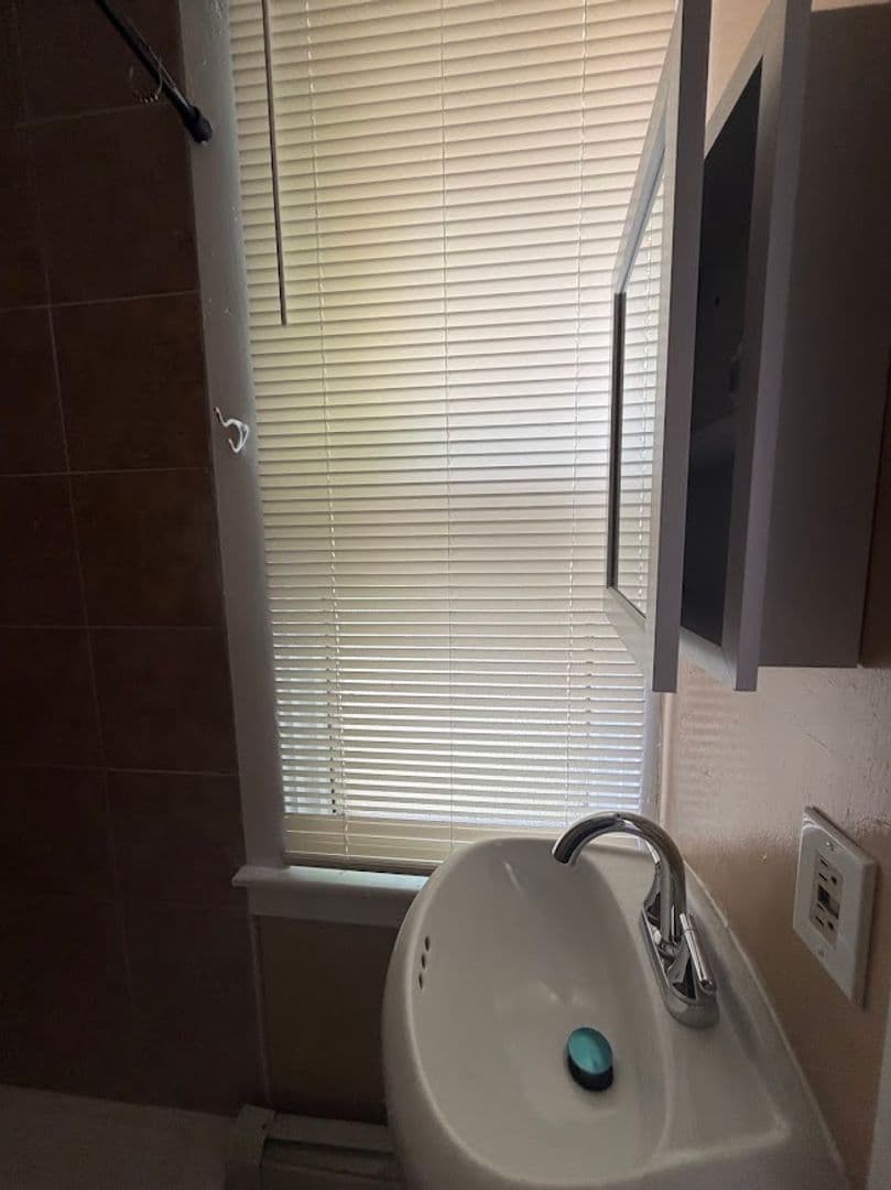 Reading Apartment: 232 Wunder Street