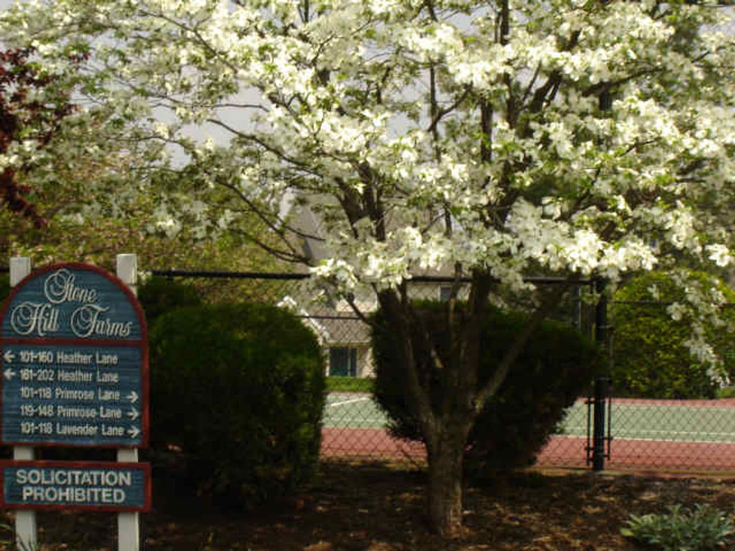 Wyomissing House: 135 Primrose Lane