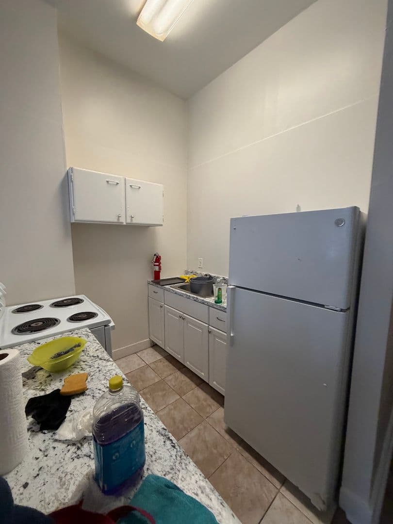 Reading Apartment: 409 Walnut Street