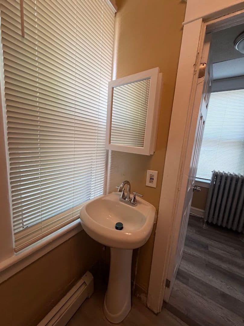 Reading Apartment: 232 Wunder Street