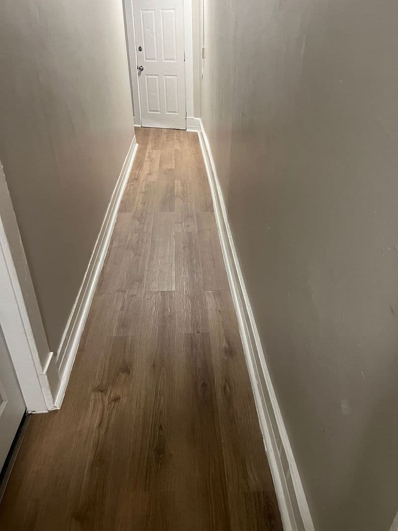 Springfield Apartment: 529 Union Street