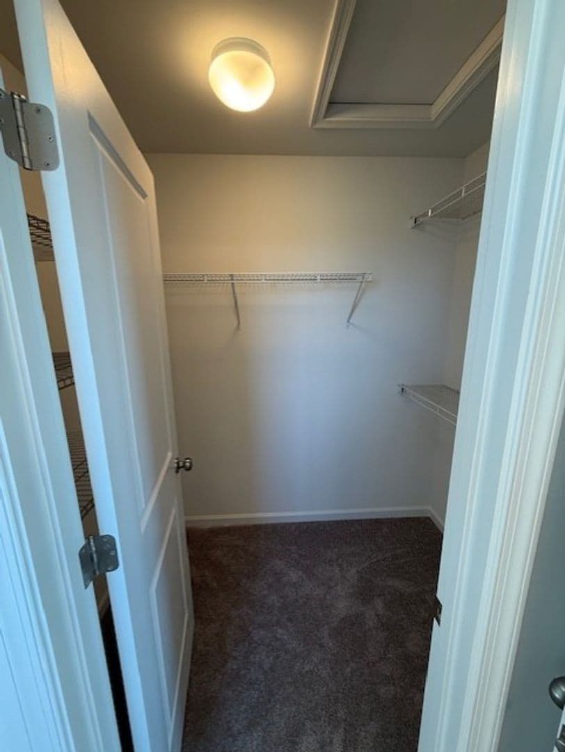 Elizabethtown Apartment: N. Conifer Dr.