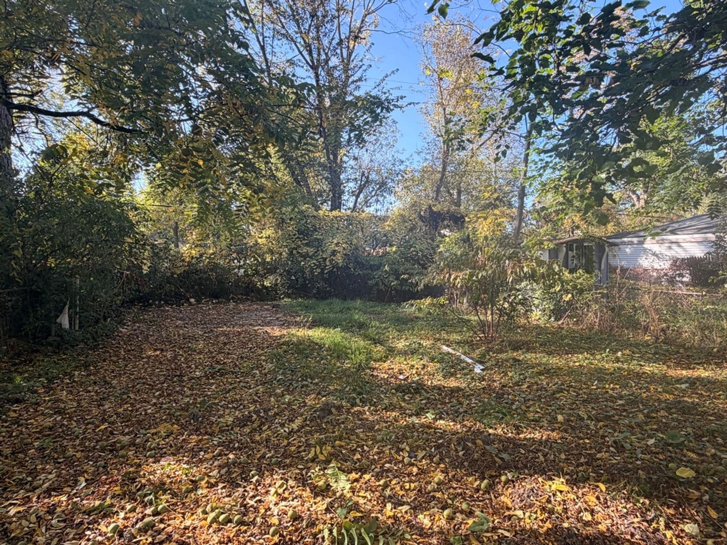Detroit House: 15853 Dacosta Street