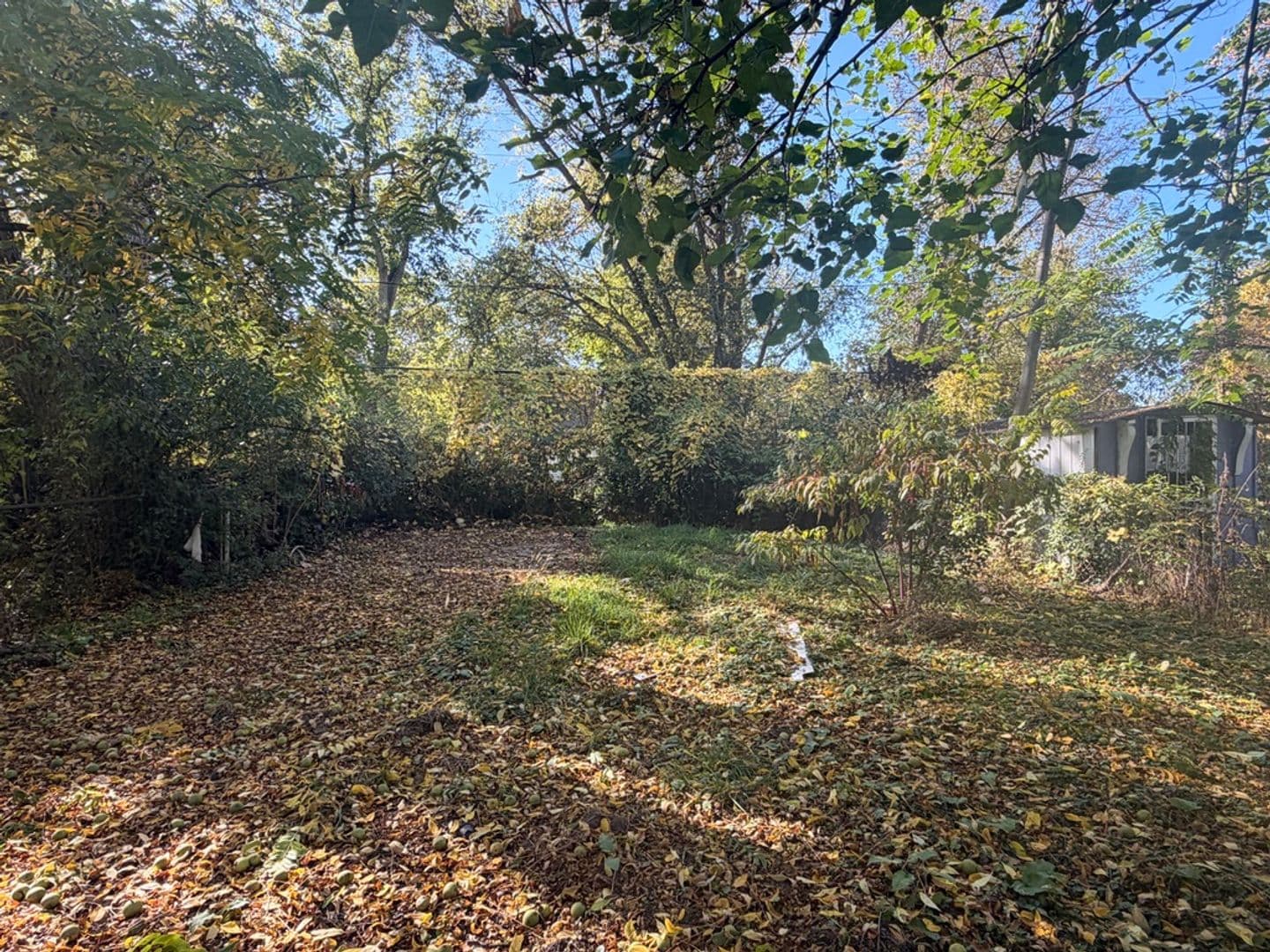 Detroit House: 15853 Dacosta Street