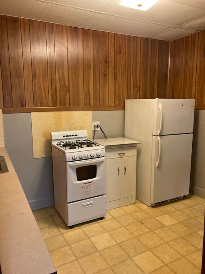 Elmira Apartment: 351 Maple AVE