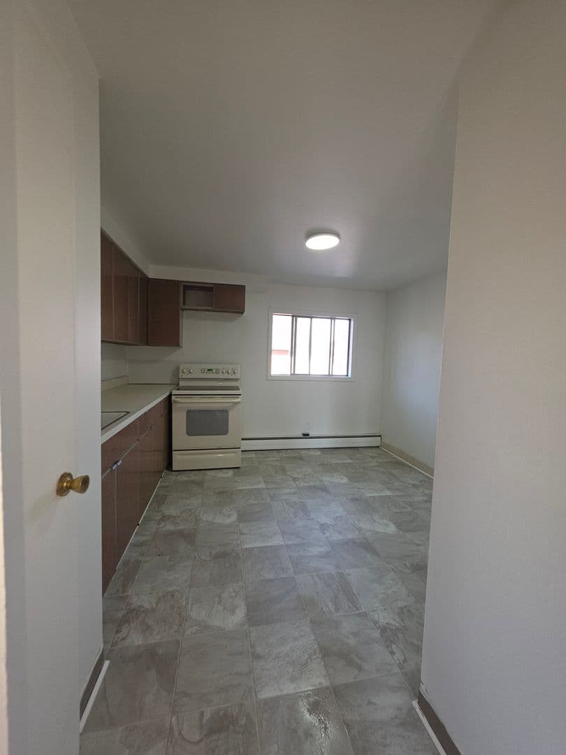 Elmira Apartment: 515 W WATER ST